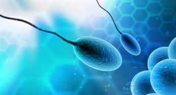 5 Important Factors that Affect Sperm Quality