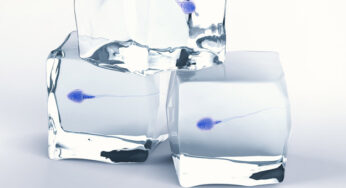 Storing Sperm Offers You More Choice Later in Life