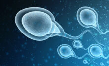 Evolution of Sperm